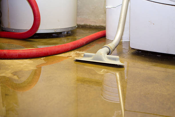 Best Carpet water damage restoration  in USA